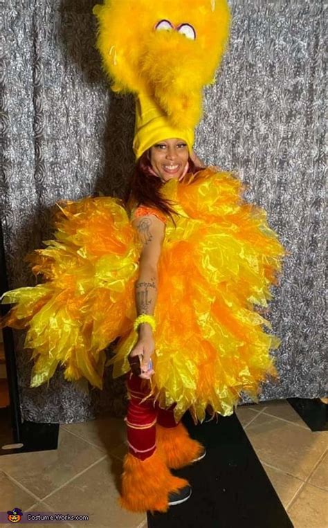 Big Bird Costume