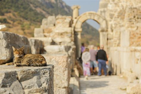 Ephesus in Turkey