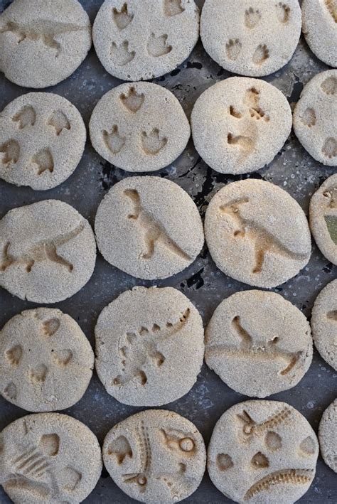 How to Make Dinosaur Fossils for Kids {From Salt Dough!} - Make Life Lovely