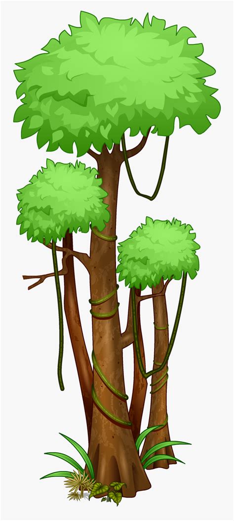 Jungle Trees Clipart - Tropical Rainforest Tree Drawing , Free Transparent Clipart - ClipartKey