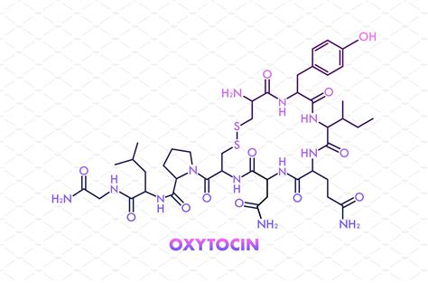 Oxytocin chemical formula, hormone | Vector Graphics ~ Creative Market