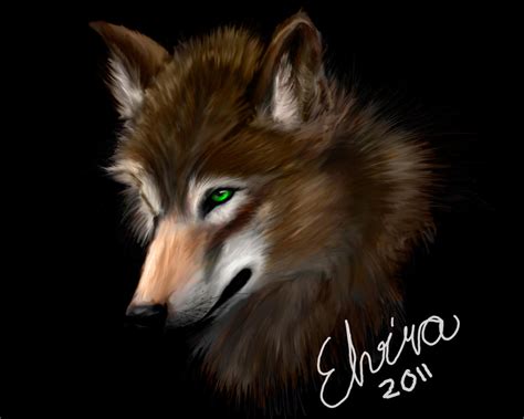 Brown Wolf by Neovirah on DeviantArt