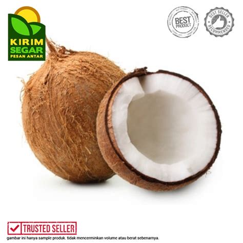 Jual Kelapa Tua Utuh Segar / Kelapa / Kelapa Tua / 1pcs | Shopee Indonesia