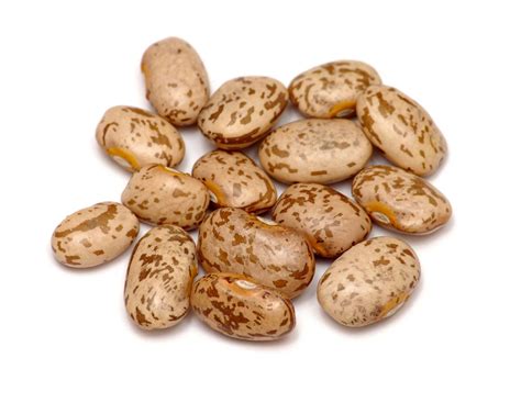 Common bean | Description, Varieties, Origin, & Facts | Britannica