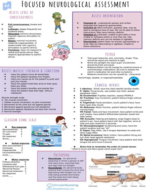 Focused Neurological Assessment