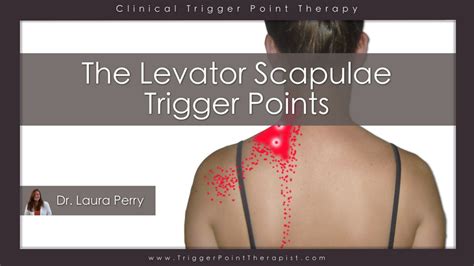 Levator Scapulae Trigger Points: Frankenstein Pain ...