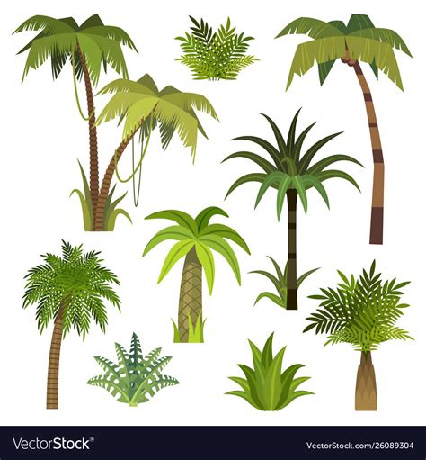 Cartoon palm tree jungle trees with green Vector Image