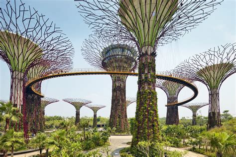 Gardens by the Bay - Singapore’s Futuristic Green Space – Go Guides