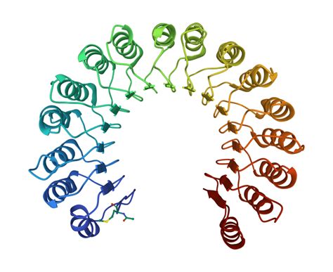 Possibilities with RNase inhibitors by Solis BioDyne