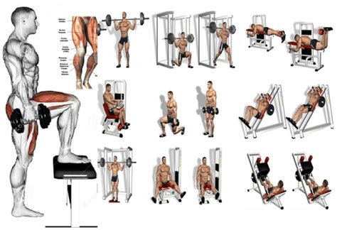 5 Leg Workouts - A Beginner's Guide! - HEALTH & GYM GUIDE