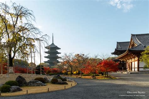 Tō-ji | Discover Kyoto