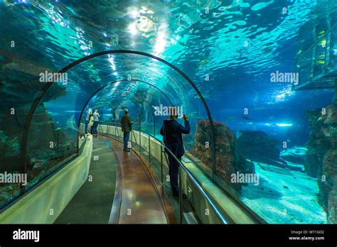 Barcelona, Spain- 10 November 2014: People visiting the aquarium, path in the underwater tunnel ...