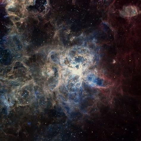 The Tarantula Nebula | Nebula, Globular cluster, Supernova explosion