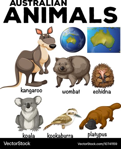 Australian wild animals and australia map Vector Image