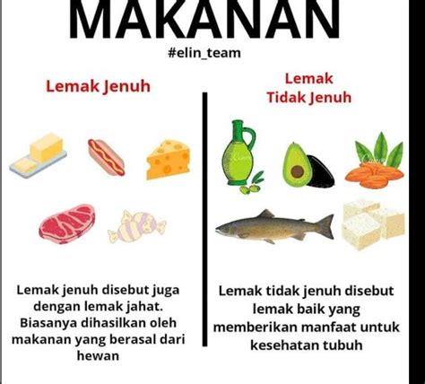 Makanan Yang Mengandung Lemak Jenuh - Homecare24