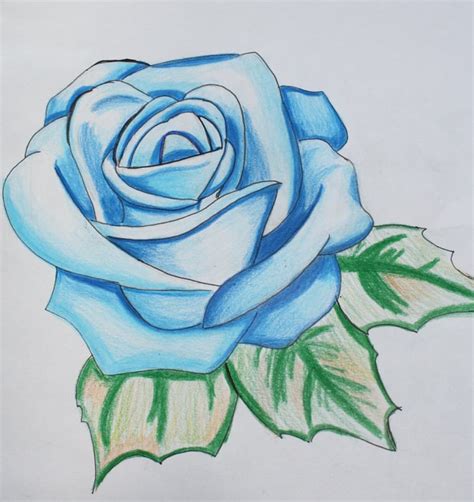 Simple Rose Flower Drawing at PaintingValley.com | Explore collection of Simple Rose Flower Drawing