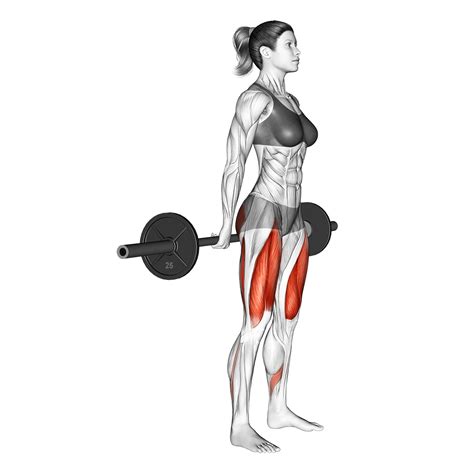 Barbell Hack Squat: 4 Major Benefits and Muscles Worked - Inspire US