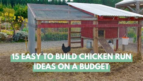 15 Easy to Build Chicken Run Ideas on a Budget - Eco Peanut