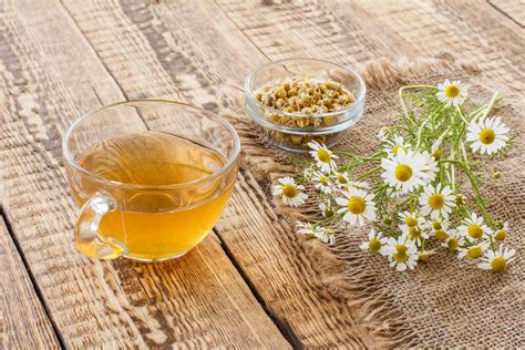 10 Best Chamomile Tea Brands To Try (2024)