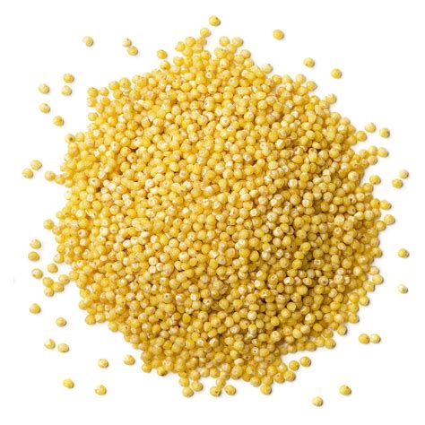 Organic Millet Buy in Bulk from Food to Live