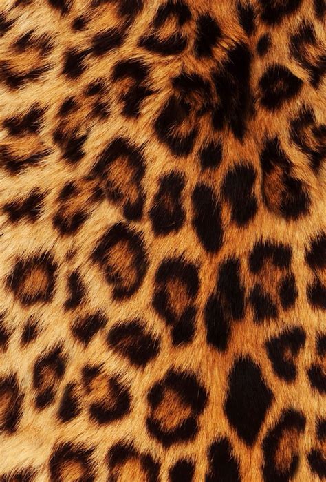 Cheetah fur wallpaper - SF Wallpaper