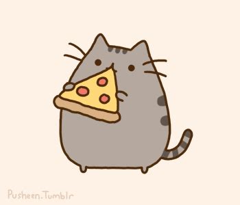 Cat Pusheen GIFs - Get the best GIF on GIPHY