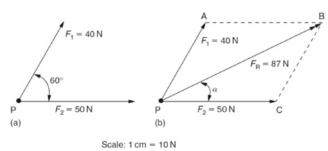 Vector Scale Diagram at Vectorified.com | Collection of Vector Scale Diagram free for personal use