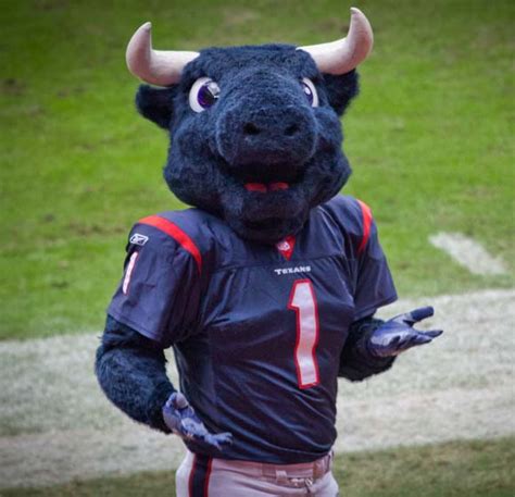 Toro (Houston Texans) | SportsMascots Wikia | FANDOM powered by Wikia