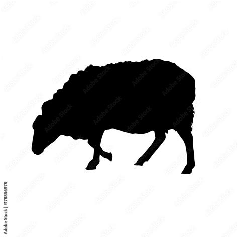 sheep vector silhouette Stock Vector | Adobe Stock