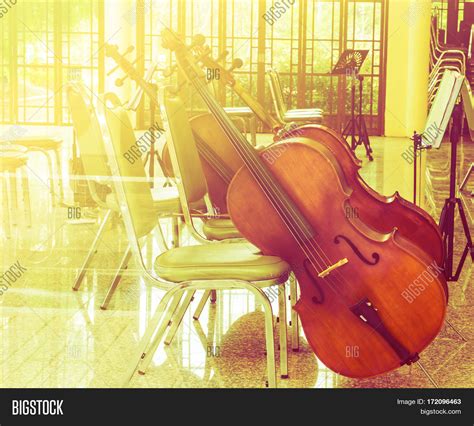 Violoncello Music Room Image & Photo (Free Trial) | Bigstock