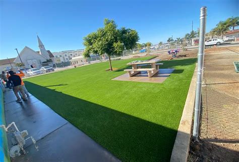 Professional Turf Installation Services | Creative Turf Install