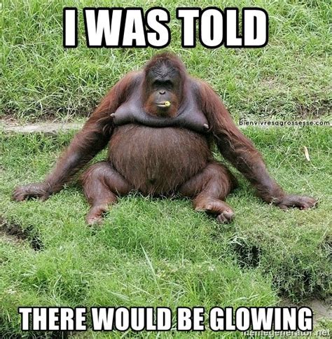 Gorilla Meme | My Mommyvents