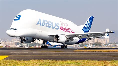 Airbus Beluga lands in Mumbai | 5 things to know about whale-shaped aircraft | Latest News India ...