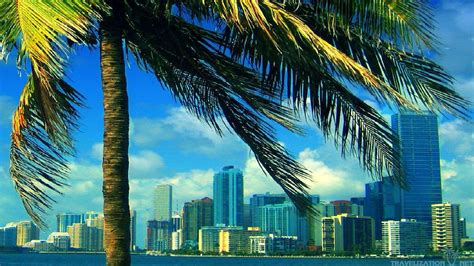 Wallpapers Of Miami Skyline - Wallpaper Cave