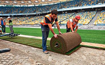 Rumput di Lapangan Sepak Bola | Pengertian Sepak Bola