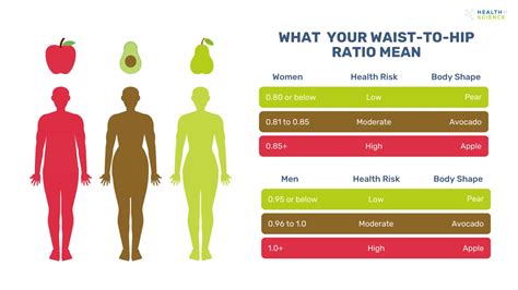 Use Our Hip Waist Ratio Chart | How to get 0.7 Waist to Hip Ratio