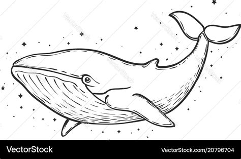 Blue whale and stars art work Royalty Free Vector Image