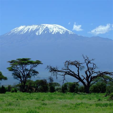 Mountaineering on Tanzania's Mount Kilimanjaro - Alumni