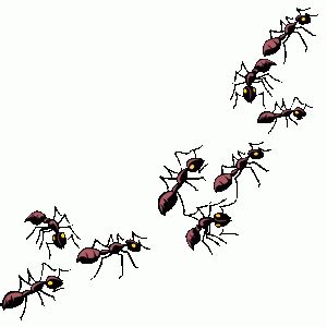 Ants clipart ants marching, Ants ants marching Transparent FREE for download on WebStockReview 2023