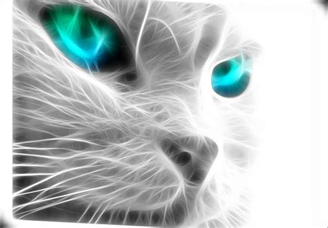 Neon Animals Wallpapers - Top Free Neon Animals Backgrounds - WallpaperAccess