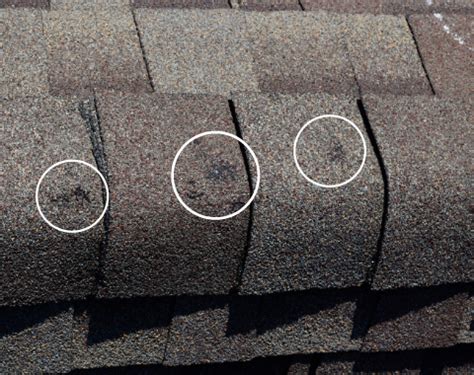 Hail and Storm Damage Repair | North Texas Roofing | Free Inspection