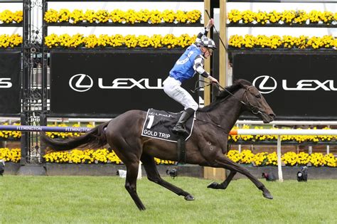 Melbourne Cup Winners | Past Champion Horses | Neds