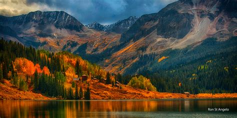 Aspen Trees a Colorful Colorado Experience