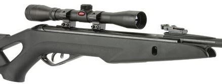 Gamo Whisper - Silent Cat Review & Buying Guide