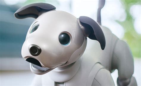 This Sony aibo Is a Cute Intelligent Dog Robot Pet