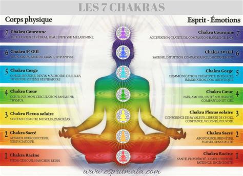 Les 7 chakras