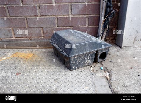 A rat poison bait station Stock Photo - Alamy