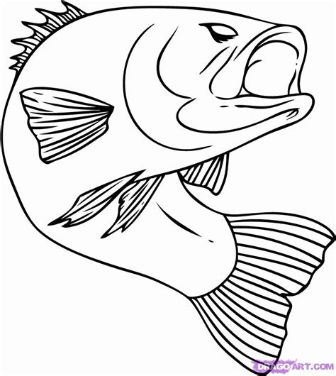 Bass Fish Coloring Pages - Coloring Home