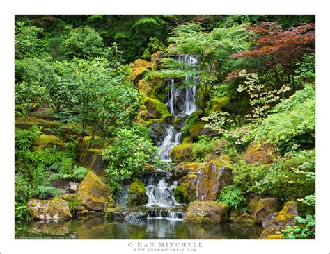 Waterfall and Pond, Japanese Garden | G Dan Mitchell Photography