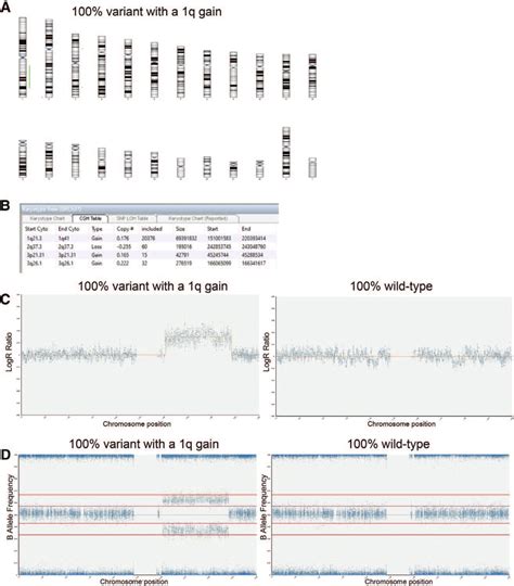 SNP array analysis of a pure population of variant hPSCs harboring a... | Download Scientific ...